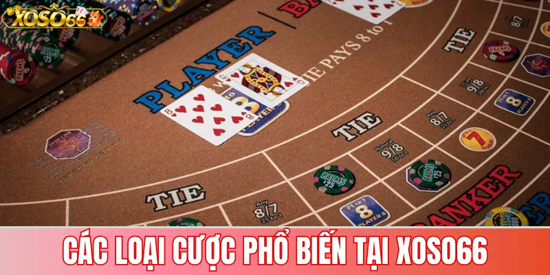 Baccarat Xoso66: Hướng Dẫn Chơi & Chiến Lược Thắng Lớn 2 Các loại cược phổ biến tại Xoso66